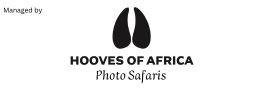Logo Hooves of Africa