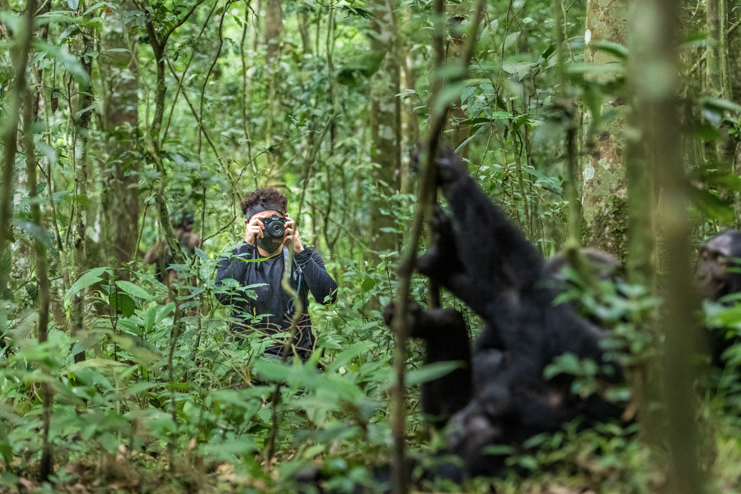 5 day gorillas and chimpanzees of Uganda