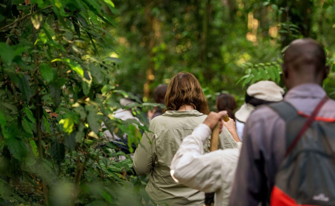 3 days gorilla trekking adventure